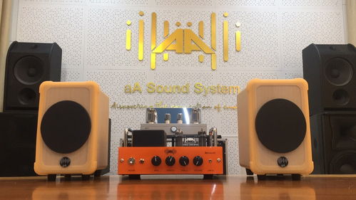 博元電聲 音樂愛好者的第一套專業音響